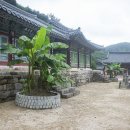 창원 의림사 삼층석탑 이미지