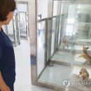 반려마루 동물병원 이미지