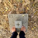 대촌한우곰탕숯불갈비 이미지