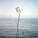 여호와 닛시 이미지