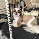 고마워 MIN 이미지