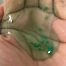 댕기머리 미용실 | 르네휘테르 포티샤 샴푸와 에너자이징 컨디셔너 찐 후기로 알아보는 두피 건강을 위한 사용방법