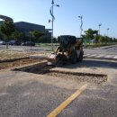 스포츠파크 씨름장 이미지