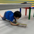 국가대표 샛별태권도장 이미지