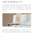알로하컴퍼니 수제그래놀라 시그니처 리얼 후기 시리얼 추천