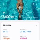 수영114 이미지