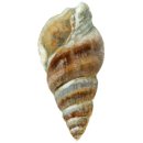 마산부동산공인중개사사무소 이미지