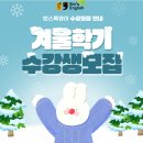 빈스톡 이미지