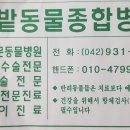 한밭동물병원 이미지