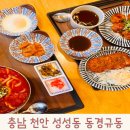 동경규동천안성성점