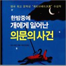 한밤중에 티스토리