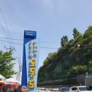 오동도 | 여수 여행 오동도 바다풍경 동백꽃 산책코스