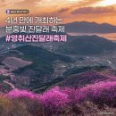 4월 1일~2일 여수 영취산 진달래 축제 이미지