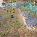 기봉농장 이미지