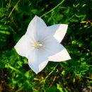 삼주세탁소 이미지