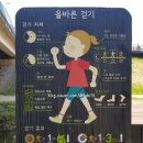 고독천 네이버블로그