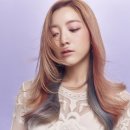 로즈헤어커커 - 임실군 봉황로 170-1 | 로즈헤어커커