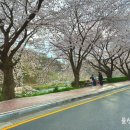 소공원 공중화장실(1) 이미지