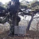 우명1경로당 이미지