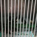 서울시 야생동물 구조센터 이미지