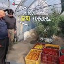 부자농장 이미지