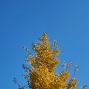 창원단감테마공원 이미지