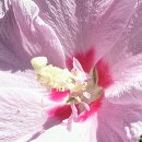 하신경로당 이미지