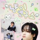 성호로카페