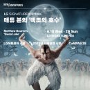 웅장어드벤처스 더프리뷰