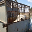 두환농장 이미지