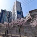 신광 이미지