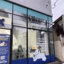 우쭈쭈플렉스 강아지 유치원 호텔 이미지