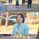 아모르바디 이미지