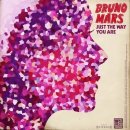 Just The Way You Are - Bruno Mars (브루노마스) [가사/해석/뮤비/동영상] 이미지