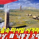 낙동강오리알 이미지