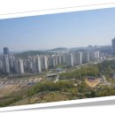 광교초이스공인중개사사무소 이미지