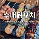 수정신흥2-A-24 | [성남 맛집] 수내 닭꼬치 신흥점 - 숯불향 가득한 특제 양념의 환상적인 맛
