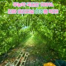 윤앤정내과의원 이미지