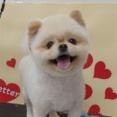 굿데이멍 이미지