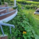 가산농약사 이미지