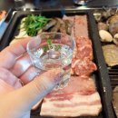 테마파크장 이미지