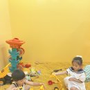 하늘반 다미의 여름방학 이야기 이미지