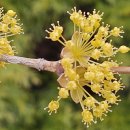 3/20(목) 출석부 : 봄맞이 대청소합시다 이미지