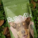 개발바닥친구들 이미지