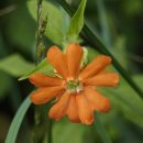 서석농장 이미지