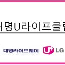 대명라이프 네이버블로그