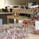 도담동_싱싱장터1호점 이미지