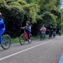 광양북초등학교 이미지