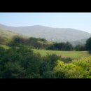 용천목장 이미지