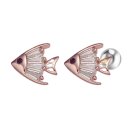 클라비스 이미지